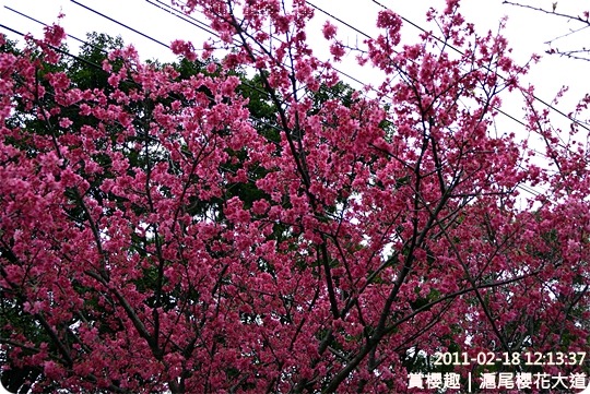 P1220150 P1220150