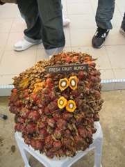 Fruit bunch