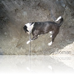 IMG_3521 IMG_3521
