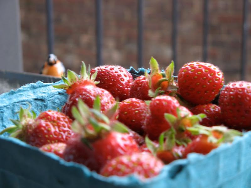 summer strawberries