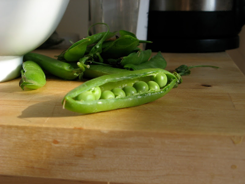 pea pod