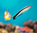 _C8T3839.JPG