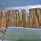 Winter-2010-Danube-Delta_by_Daniel_Petrescu