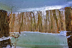 Ice in the Danube Delta_06.JPG