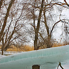 Winter-2010-Danube-Delta_by_Daniel_Petrescu