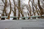 Ice in the Danube Delta_07.JPG