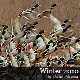 Winter-2010-Danube-Delta_by_Daniel_Petrescu
