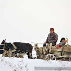 Winter-Photography_by_Daniel_Petrescu