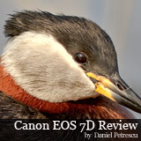 Canon EOS 7D Field Test and Review