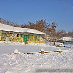Winter 2009 by Daniel Petrescu