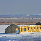 Winter 2009 by Daniel Petrescu