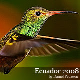 Ecuador by Daniel Petrescu