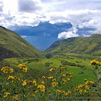 Ecuador by Daniel Petrescu