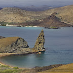 Galapagos by Daniel Petrescu