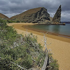Galapagos by Daniel Petrescu