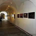 Exhibitions by Daniel Petrescu