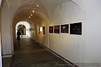 Expo_Medias_Daniel Petrescu_3.JPG