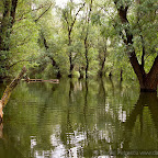 Canon Eos 7D pictures
