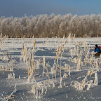 Winter 2011 - January 7th