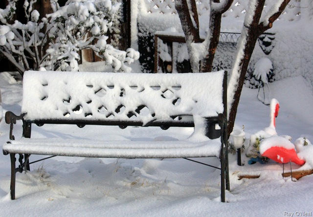 [4787-Holes In The Snowy Seat 2714x1882[6].jpg]