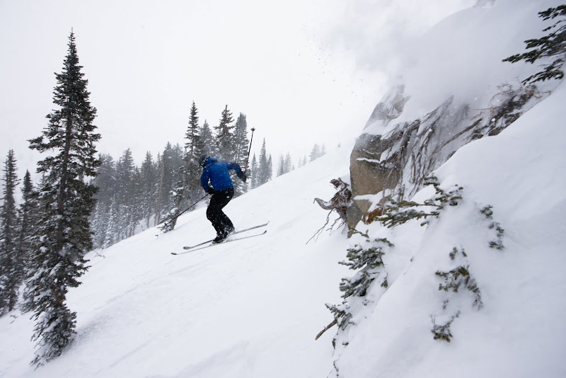 IMAGE: http://lh6.ggpht.com/_g1eUpE8zkKU/S1p0SK4X1DI/AAAAAAAAD_U/M188kA85kaQ/s800/2010-01-22%20Snowbird-4.jpg