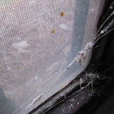 IMG_4045.JPG