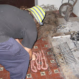IMG_4185.JPG