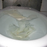 IMG_4543.JPG