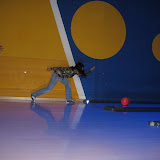 IMG_4643.JPG