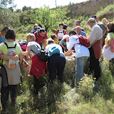 IMG_8708.JPG