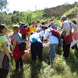 IMG_8709.JPG