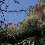 IMG_8016.JPG