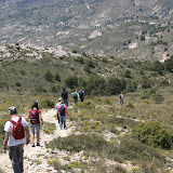 IMG_8079.JPG
