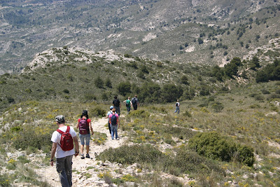  El forat de la Penya Migjorn
