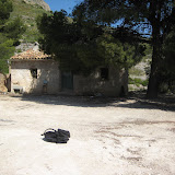 IMG_8781.JPG