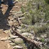 IMG_8782.JPG