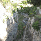 IMG_8845.JPG