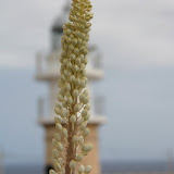 IMG_6706.JPG