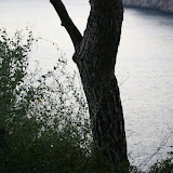 IMG_6579.JPG