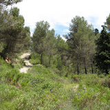 IMG_8872.JPG