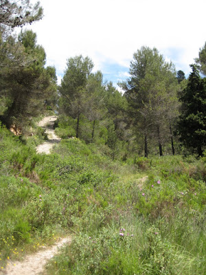  Excursió per Nutxes, La Llibreria, Barranc dels Ports, Penya Reona, La Costa i Riu Sec