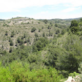IMG_8875.JPG