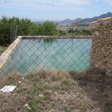 IMG_8884.JPG