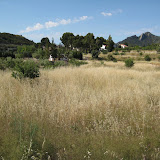 IMG_8853.JPG