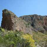 IMG_8860.JPG