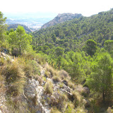 IMG_8938.JPG
