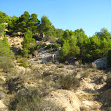 IMG_8939.JPG