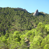 IMG_8942.JPG