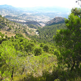 IMG_8951.JPG