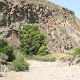 IMG_8846.JPG